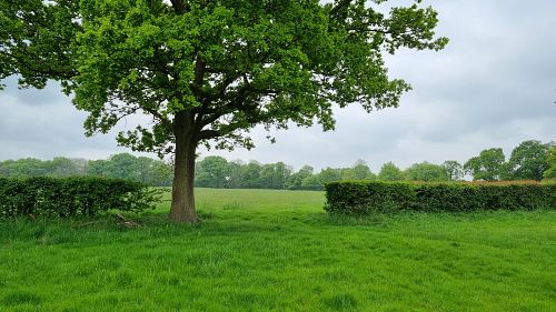 Land near Outwood, Redhill, Surrey, RH1 5QU