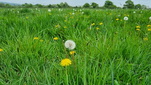 Land near Outwood, Redhill, Surrey, RH1 5QU