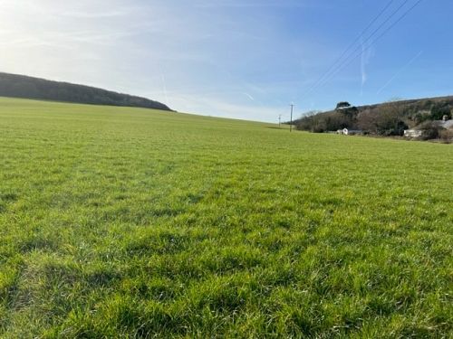 Land at Chessell, Isle of Wight