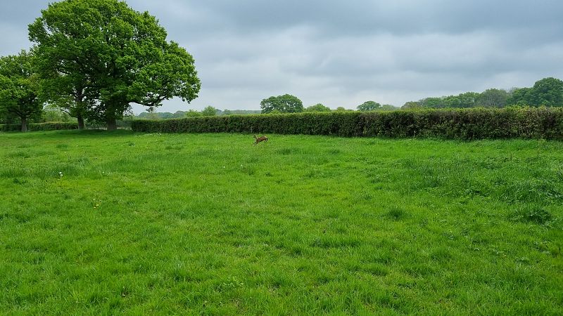 Land near Outwood, Redhill, Surrey, RH1 5QU