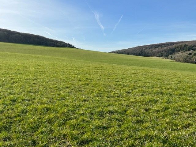 Land at Chessell, Isle of Wight